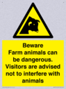 beware-farm-animals-can-be-dangerous-visitors-are-advised-not-to-interfere-with-~